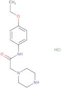 N-(4-Ethoxyphenyl)-2-(piperazin-1-yl)acetamide hydrochloride