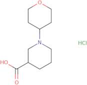 1-(Tetrahydro-2H-pyran-4-yl)-3-piperidinecarboxylic acid hydrochloride