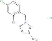 1-(2,4-Dichloro-benzyl)-1H-pyrazol-4-ylamine, hydrochloride