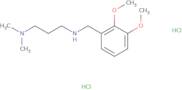 [(2,3-Dimethoxyphenyl)methyl][3-(dimethylamino)propyl]amine dihydrochloride