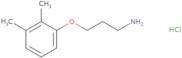 1-(3-Aminopropoxy)-2,3-dimethylbenzene hydrochloride