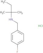 [(4-Fluorophenyl)methyl](2-methylbutan-2-yl)amine hydrochloride