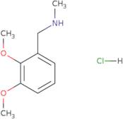 1-(2,3-Dimethoxyphenyl)-N-methylmethanamine hydrochloride