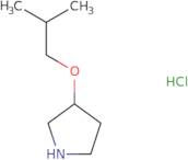 6-Methyl-2-piperidin-3-yl-1,3-benzoxazolehydrochloride