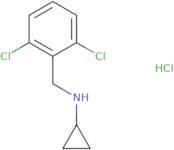 N-[(2,6-Dichlorophenyl)methyl]cyclopropanamine hydrochloride