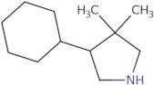 4-Cyclohexyl-3,3-dimethylpyrrolidine