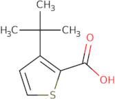 3-(tert-Butyl)thiophene-2-carboxylic acid