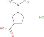 rac-(1R,3S)-3-(Dimethylamino)cyclopentane-1-carboxylic acid hydrochloride, cis