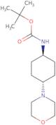 tert-Butyl (trans-4-morpholinocyclohexyl)carbamate