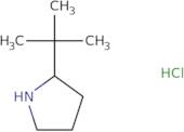 2-tert-Butylpyrrolidine hydrochloride