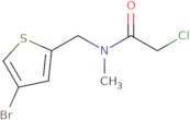 N-[(4-Bromothiophen-2-yl)methyl]-2-chloro-N-methylacetamide