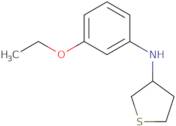 N-(3-Ethoxyphenyl)thiolan-3-amine