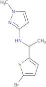 N-[1-(5-Bromothiophen-2-yl)ethyl]-1-methylpyrazol-3-amine