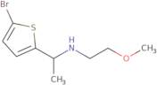 [1-(5-Bromothiophen-2-yl)ethyl](2-methoxyethyl)amine