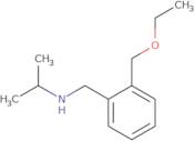 {[2-(Ethoxymethyl)phenyl]methyl}(propan-2-yl)amine