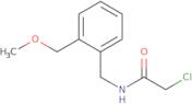 2-Chloro-N-{[2-(methoxymethyl)phenyl]methyl}acetamide