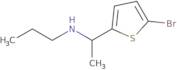 [1-(5-Bromothiophen-2-yl)ethyl](propyl)amine