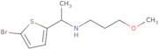 N-[1-(5-Bromothiophen-2-yl)ethyl]-3-methoxypropan-1-amine