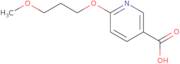 6-(3-Methoxypropoxy)pyridine-3-carboxylic acid