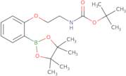 2-[2-(4,4,5,5-Tetramethyl-[1,3,2]dioxaborolan-2-yl)-phenoxy]-ethyl-carbamic acid tert-butyl ester