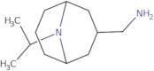 [9-(Propan-2-yl)-9-azabicyclo[3.3.1]nonan-3-yl]methanamine