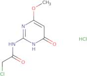 2-Chloro-N-(4-hydroxy-6-methoxypyrimidin-2-yl)acetamidehydrochloride