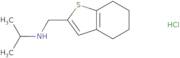 (Propan-2-yl)(4,5,6,7-tetrahydro-1-benzothiophen-2-ylmethyl)amine hydrochloride