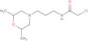 2-Chloro-N-[3-(2,6-dimethylmorpholin-4-yl)propyl]acetamide