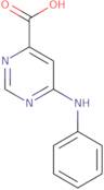 6-(Phenylamino)pyrimidine-4-carboxylic acid