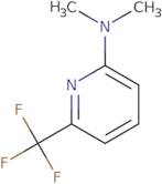 2-Dimethylamino-6-(trifluoromethyl)pyridine