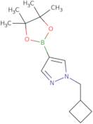 1-(cyclobutylmethyl)-4-(tetramethyl-1,3,2-dioxaborolan-2-yl)-1h-pyrazole