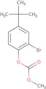 2-Bromo-4-(1,1-dimethylethyl)phenyl methyl ester carbonic acid