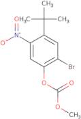 2-Bromo-4-(1,1-dimethylethyl)-5-nitrophenyl methyl ester carbonic acid