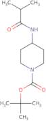 tert-Butyl 4-isobutylamidopiperidine-1-carboxylate