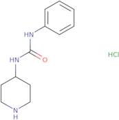 1-Phenyl-3-(piperidin-4-yl)urea hydrochloride