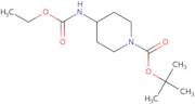 tert-Butyl 4-(ethoxycarbonylamino)piperidine-1-carboxylate