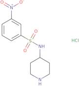 3-Nitro-N-(piperidin-4-yl)benzenesulfonamide hydrochloride