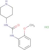 1-(2-Methoxyphenyl)-3-(piperidin-4-yl)urea hydrochloride