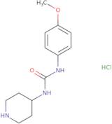 3-(4-Methoxyphenyl)-1-(piperidin-4-yl)urea hydrochloride