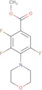 Methyl 2,3,5-trifluoro-4-morpholin-4-ylbenzoate