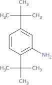 2,5-Di-tert-butylaniline