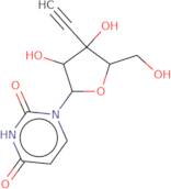 Alanine racemase from bacillus stearothermophilus