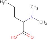 2-(Dimethylamino)pentanoic acid