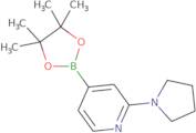 2-(Pyrrolidin-1-yl)-4-(tetramethyl-1,3,2-dioxaborolan-2-yl)pyridine