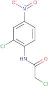 2-Chloro-N-(2-chloro-4-nitrophenyl)acetamide