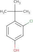 4-tert-Butyl-3-chlorophenol