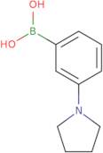 3-Pyrrolidinophenylboronic acid