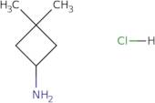 3,3-Dimethylcyclobutan-1-amine hydrochloride