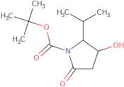 rac-tert-Butyl (2R,3R)-3-hydroxy-5-oxo-2-(propan-2-yl)pyrrolidine-1-carboxylate