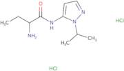 (2S)-2-Amino-N-[1-(propan-2-yl)-1H-pyrazol-5-yl]butanamide dihydrochloride